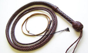latigo