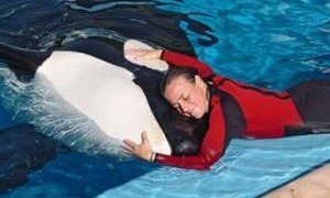 Que una especie animal cambie su comportamiento y nos acepte es una tarea extremadamente complicada
