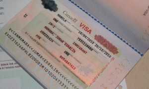 Con la puesta en marcha de esta visa, el Gobierno conservador pretende hacer frente al enorme retraso existente actualmente en la concesión de visados a los cerca de 165.000 padres y abuelos que tratan de reunirse con sus familias en Canadá