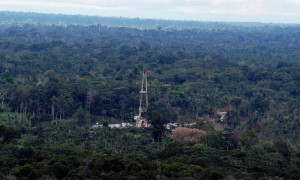 El 80% de las 200.000 hectáreas del bloque se encuentra en el Parque Yasuní, donde viven más de mil especies de animales, que lo convierten en uno de los lugares con mayor riqueza natural del planeta. Foto: La Hora