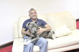 SAN JOSÉ (COSTA RICA).- El entrenador de perros, César Millán, mundialmente conocido como "El Encantador de Perros", posa este, viernes 27, durante una entrevista con Efe en San José (Costa Rica). Cuando era niño, Millán soñaba con ser el "mejor entrenador de perros del mundo"; cuenta que su madre le dijo que podía lograr lo que quisiera y ese fue su impulso para este viernes, a sus 42 años y gracias a su método de psicología para canes ser mundialmente conocido.