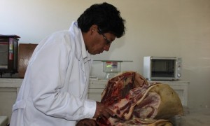 virus en carnes ilegales