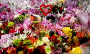 Paquetes de flores en Facatativá (Colombia). Colombia exporta en estos días 450 millones de flores que irán a parar a los enamorados de todo el mundo, ya que este regalo sigue siendo el preferido en San Valentín. Sólo por el Día de los Enamorados, que se celebra el 14 de febrero, los floricultores colombianos realizan el 15% del total de sus ventas anuales. Foto: Leonardo Muñoz / Efe