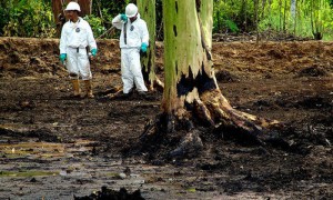 Un perito designado por el tribunal de primera instancia calculó el costo de limpieza y compensación por los daños en 27.000 millones de dólares, pero Chevron mantiene que ese informe no fue independiente, sino realizado en colaboración con los demandantes