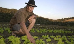 Desarrollo rural