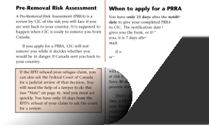 Pre Removal Risk Assessment