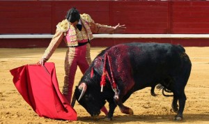 DON BENITO (BADAJOZ).- El diestro sevillano, Morante de la Puebla, en su faena con la muleta, durante la corrida de toros celebrada este domingo en la plaza de toros de Don Benito, conmemorativa del primer aniversario del coso, compartiendo cartel con Alejandro Talavante y Julian López "El Juli".