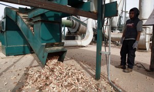 SANTIAGO (CHILE). Fotografía que muestra a un operario controlando una de las máquinas procesadoras de zuros de mazorcas de maíz, en la fábrica de procesamiento Agricob en Rancagua, a unos 80 kilómetros al sur de Santiago, Chile. El residuo orgánico de las mazorcas de maíz es aprovechado por una empresa chilena que tritura el deshecho del cereal y lo convierte en arena para mascotas, productos para pulir metales e incluso aditivos para la perforación petrolífera.