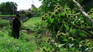 Un agente busca más restos humanos en cerca de la zona en la que fue hallado el torso