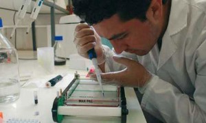 Estudios muestran que 4 de cada 5 personas con enfermedad renal crónica avanzada, pérdida de más del 50% de la función renal, desconocen que padecen de la enfermedad.