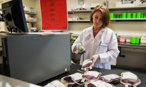 Sería irresponsable aplicar un sistema de pago de donantes de plasma sanguíneo sin entender las implicaciones, de acuerdo al Ministerio de Salud de Ontario.