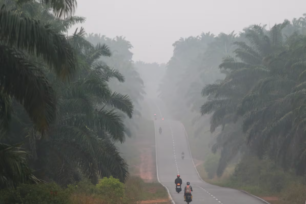 Photo: diarioelpopular.com Record El Niño Levels Could Cause 450,000 Heat-Related Deaths